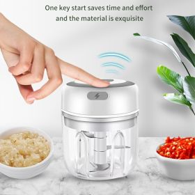 Mini Electric Garlic Masher; Wireless Electric Garlic Beater; Garlic Puller; Garlic Masher; Garlic Press; Household Garlic Masher (Capacity: 250ML, Color: White)