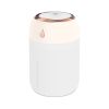 Portable Mini Humidifier; 220ml/330ml; Small Cool Mist Humidifier; USB Personal Desktop Humidifier For Bedroom Travel Office Home